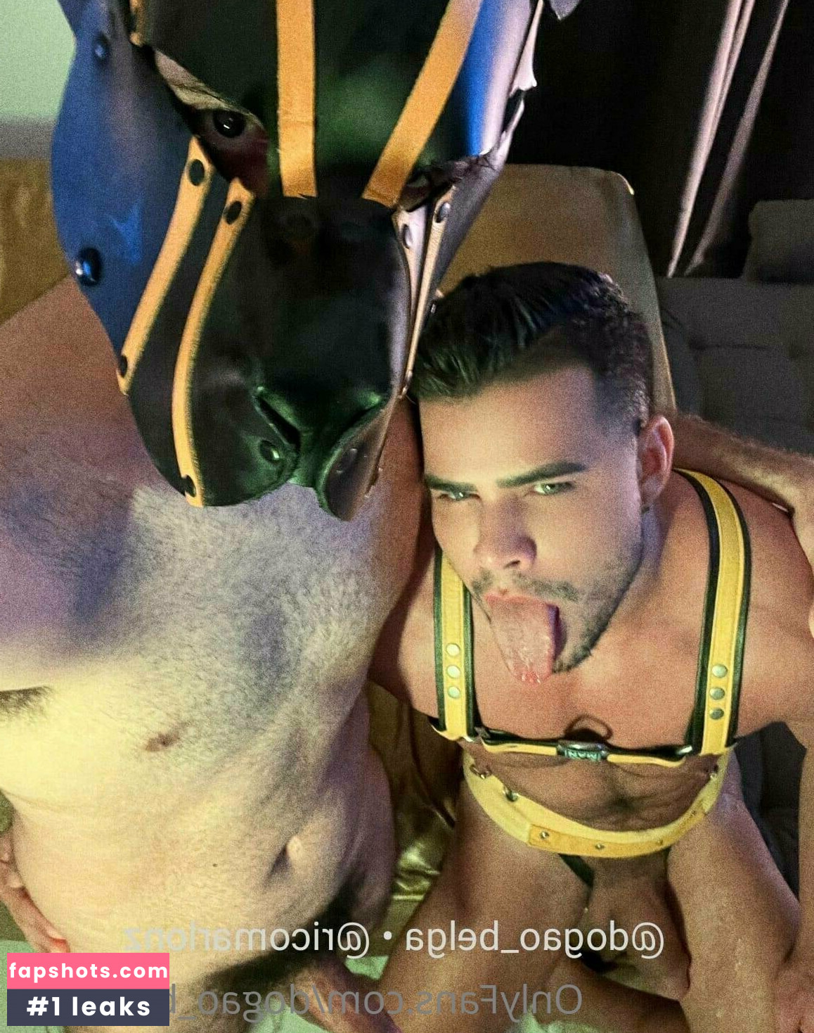 dogao_belgafree Nude Leaks OnlyFans Photos #21 - LeakJerk