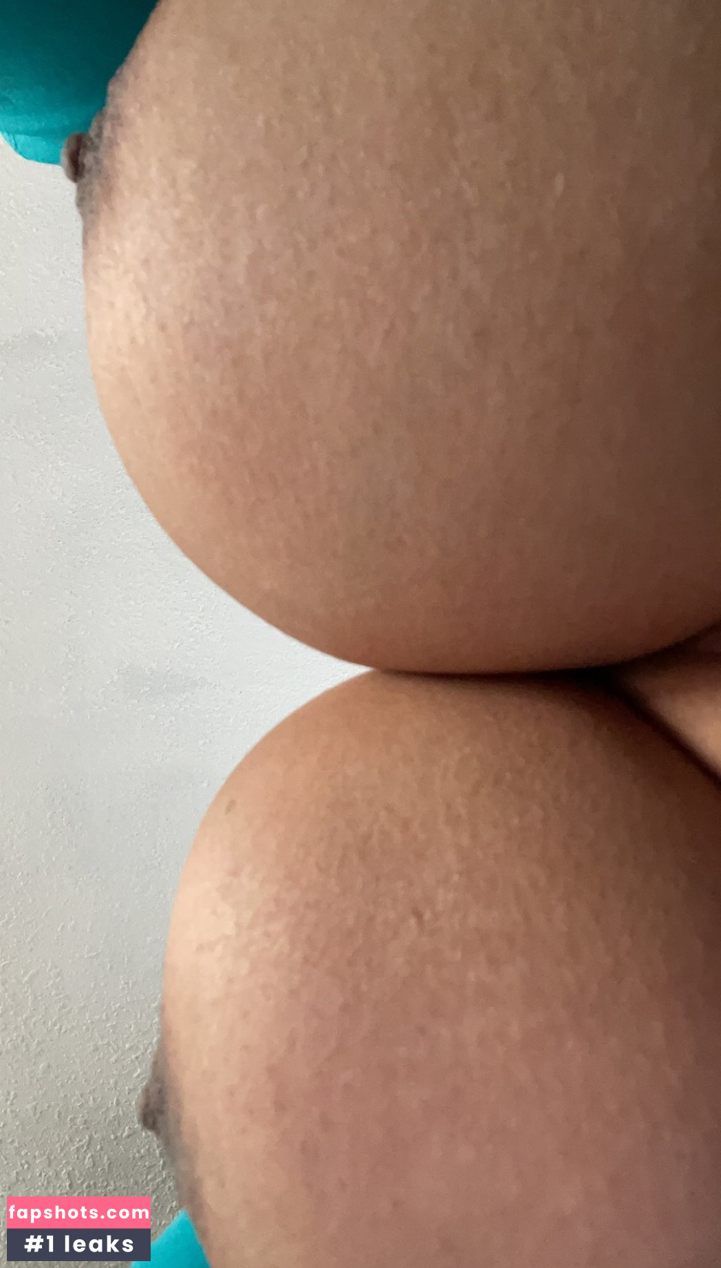 dogmom1901 Nacktheit OnlyFans Fotos #21 - Fapshots