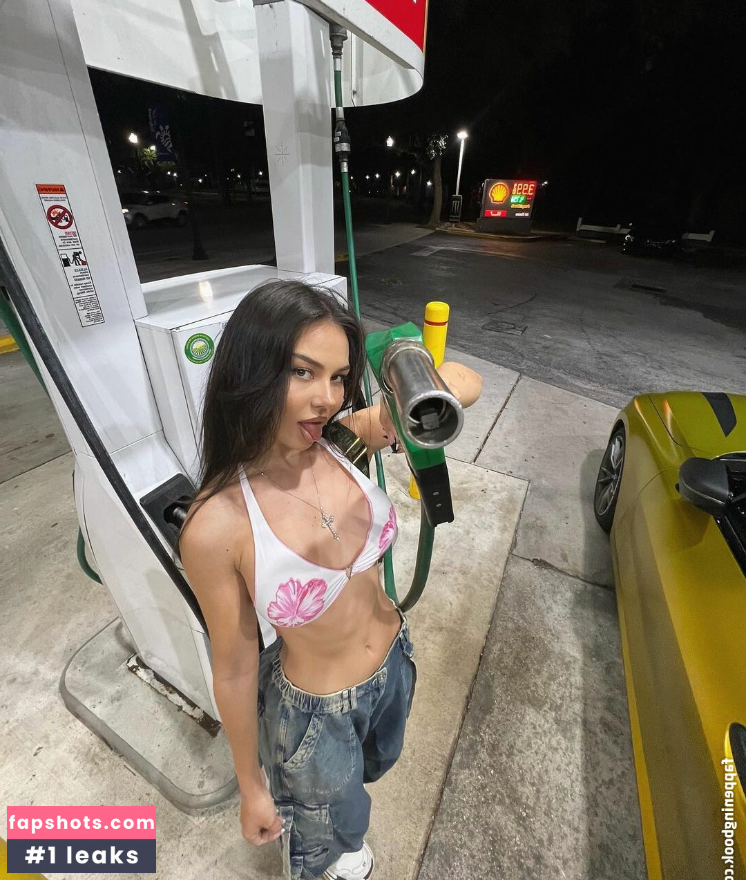 Doina Barbaneagra gallery photo #130