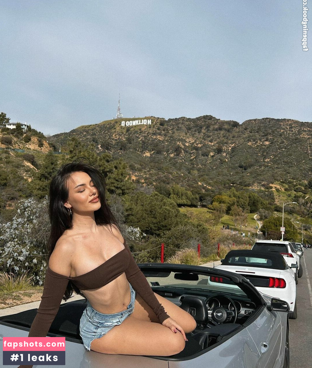 Doina Barbaneagra gallery photo #151