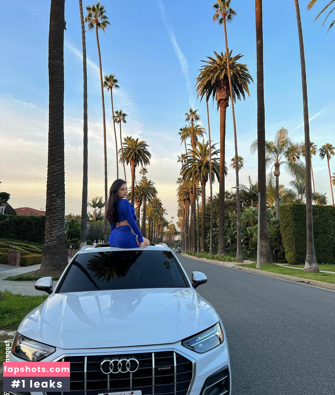 Doina Barbaneagra gallery photo #156