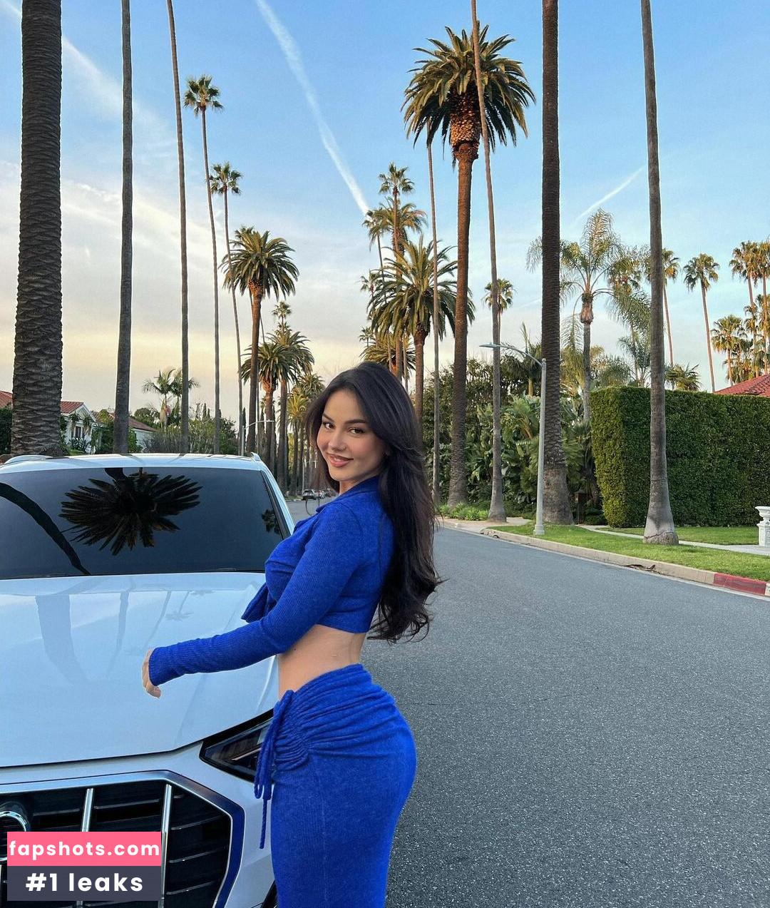 Doina Barbaneagra gallery photo #158