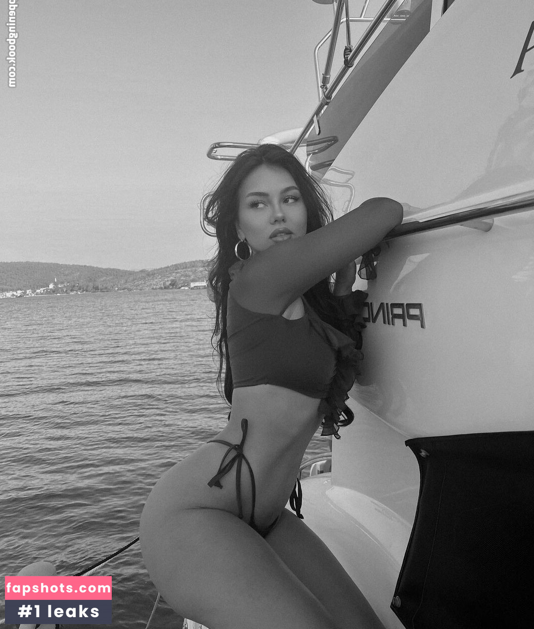 Doina Barbaneagra gallery photo #171