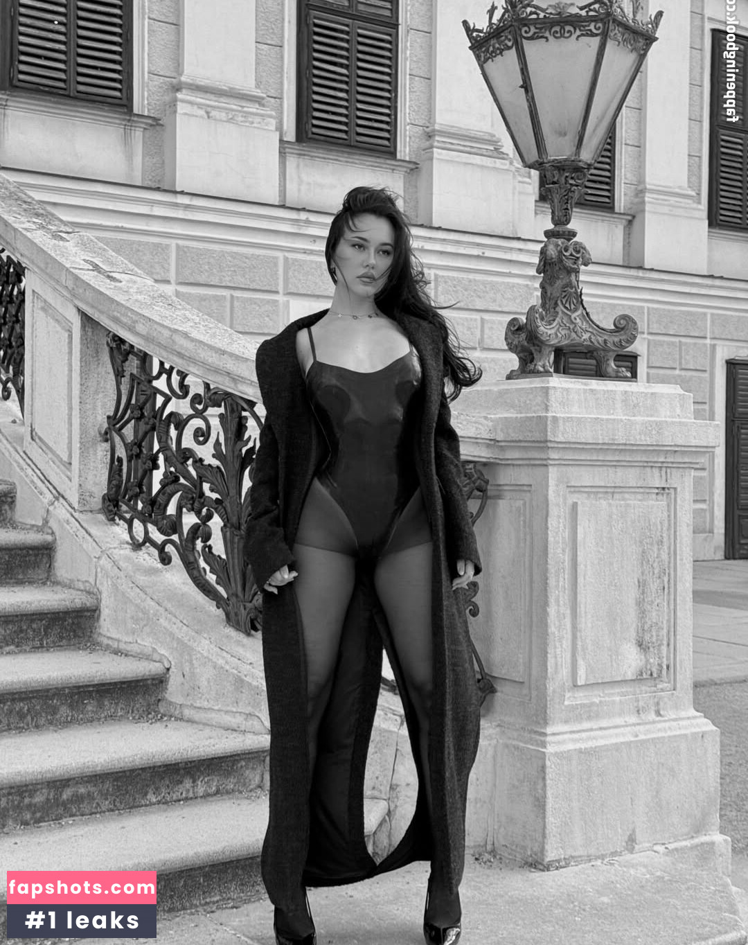 Doina Barbaneagra gallery photo #35