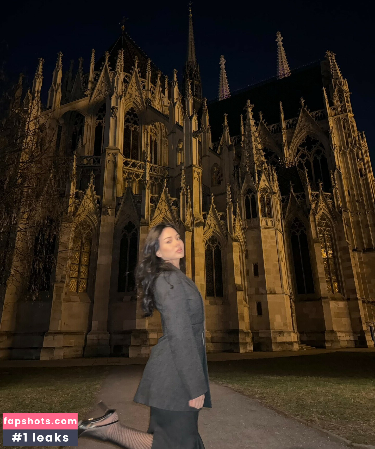 Doina Barbaneagra gallery photo #55