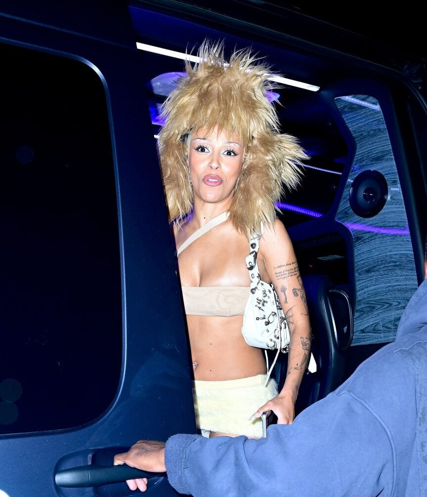 doja-cat Nude Leaks OnlyFans Photos #352 - LeakJerk