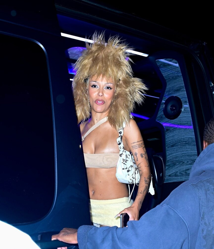 doja-cat Nude Leaks OnlyFans Photos #358 - LeakJerk