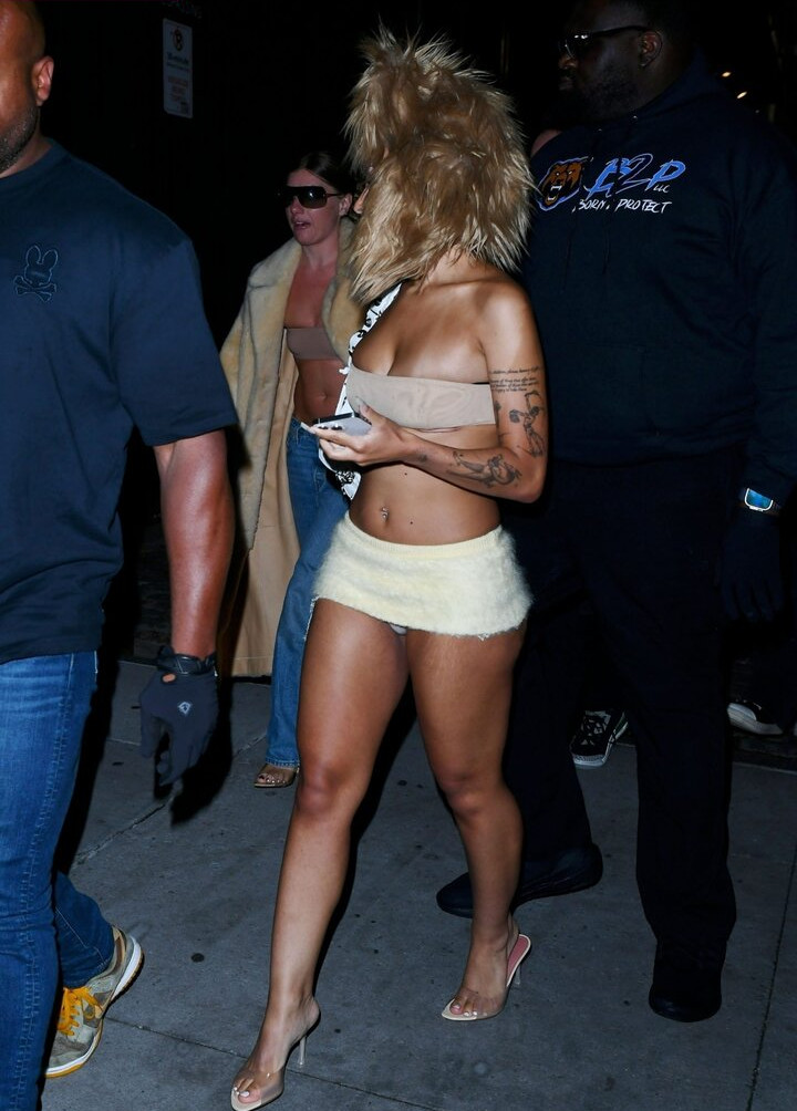 doja-cat Nude Leaks OnlyFans Photos #366 - LeakJerk