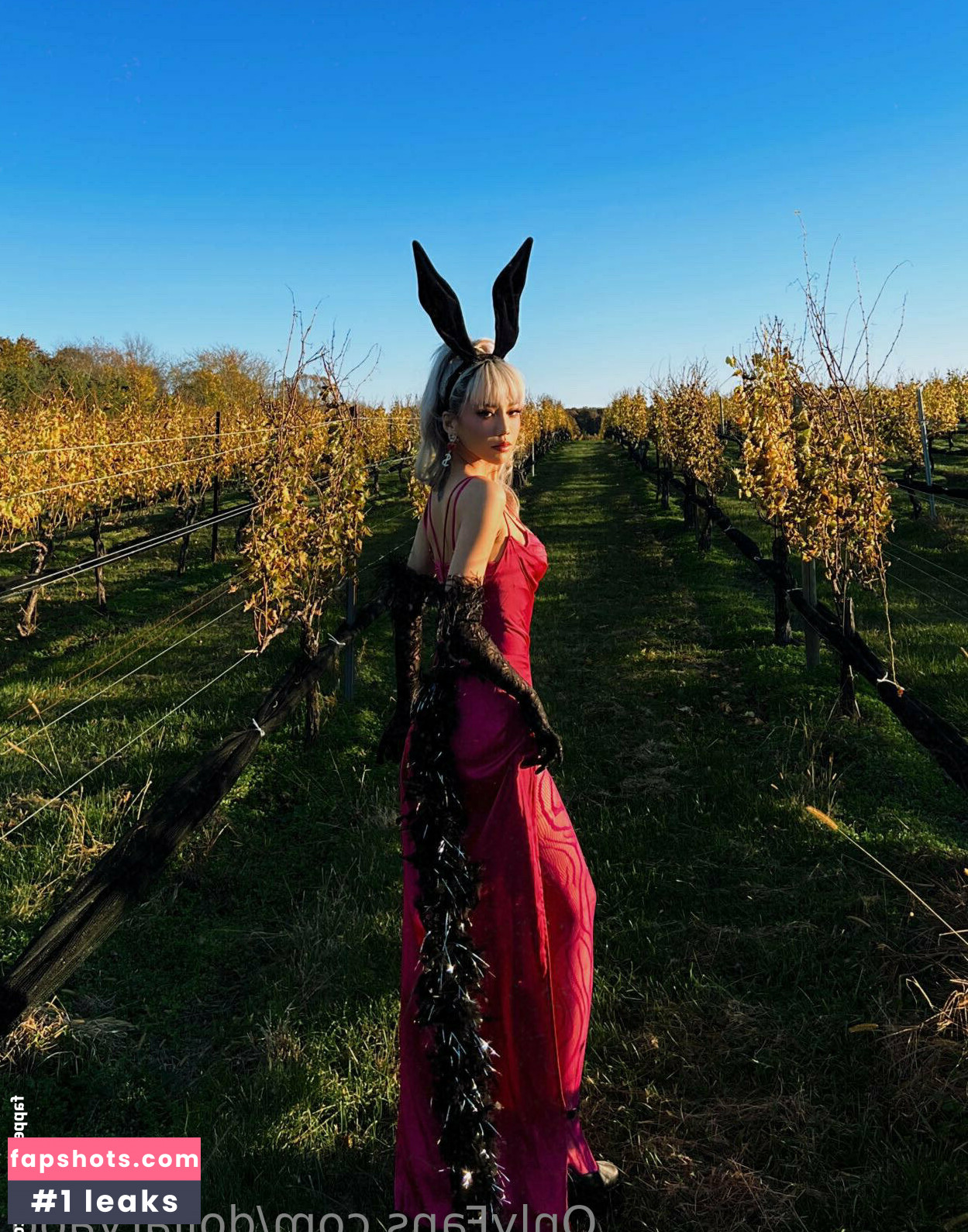 dollaryaoo gallery photo #16