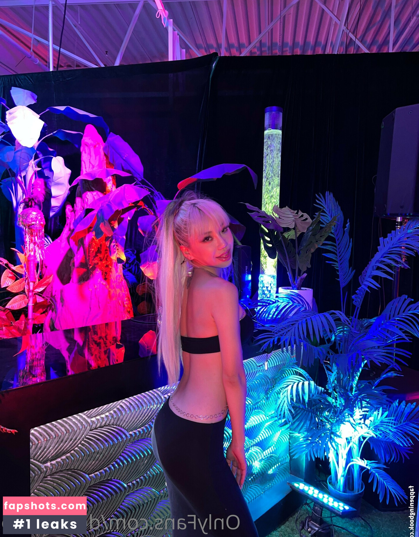 dollaryaoo gallery photo #25