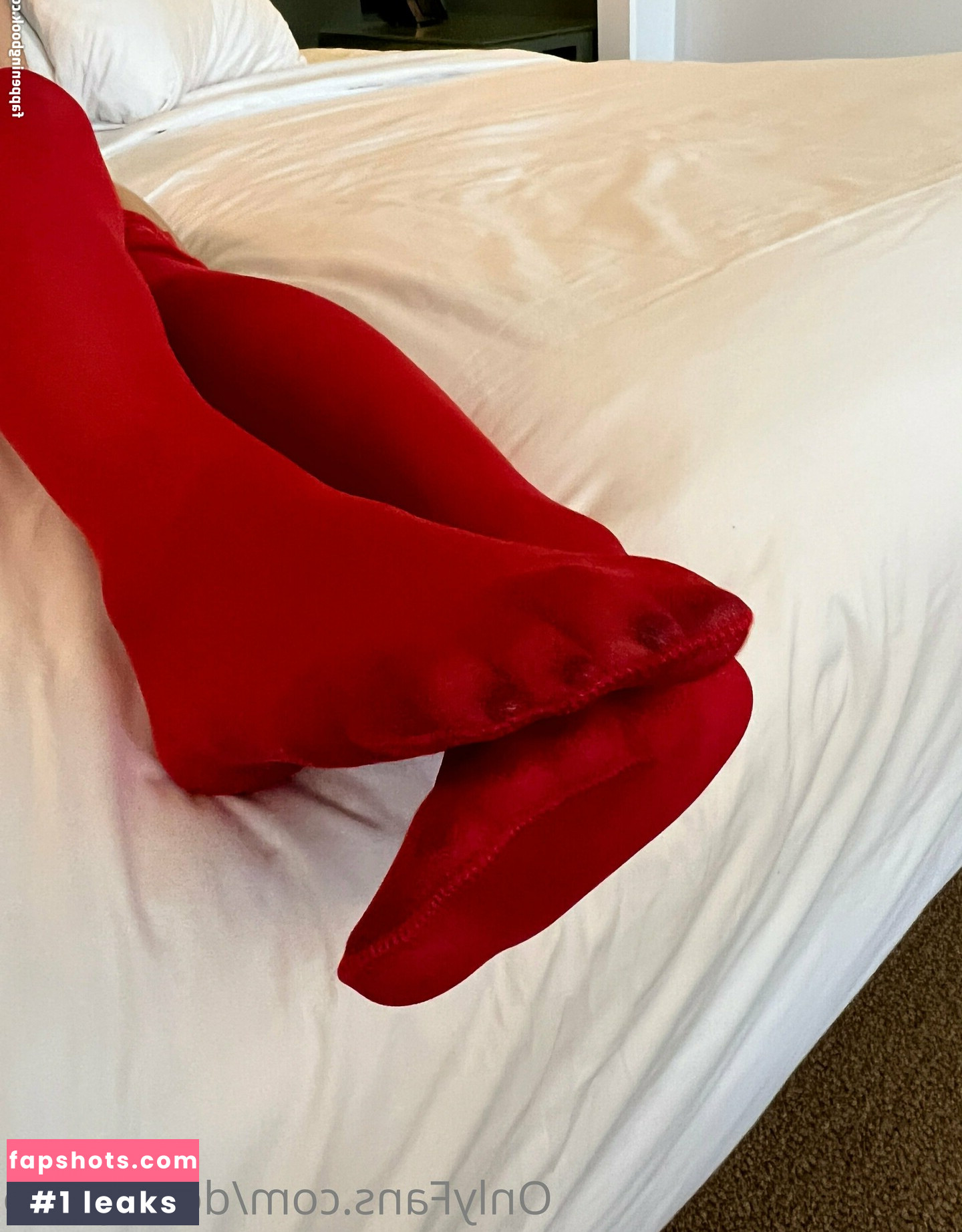 dollaryaoo gallery photo #33