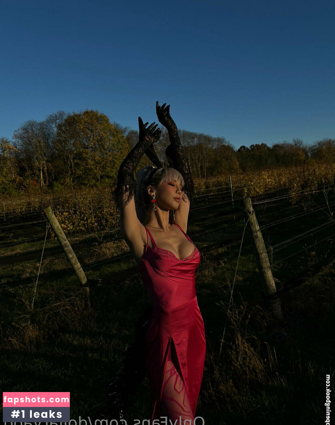 dollaryaoo gallery photo #10