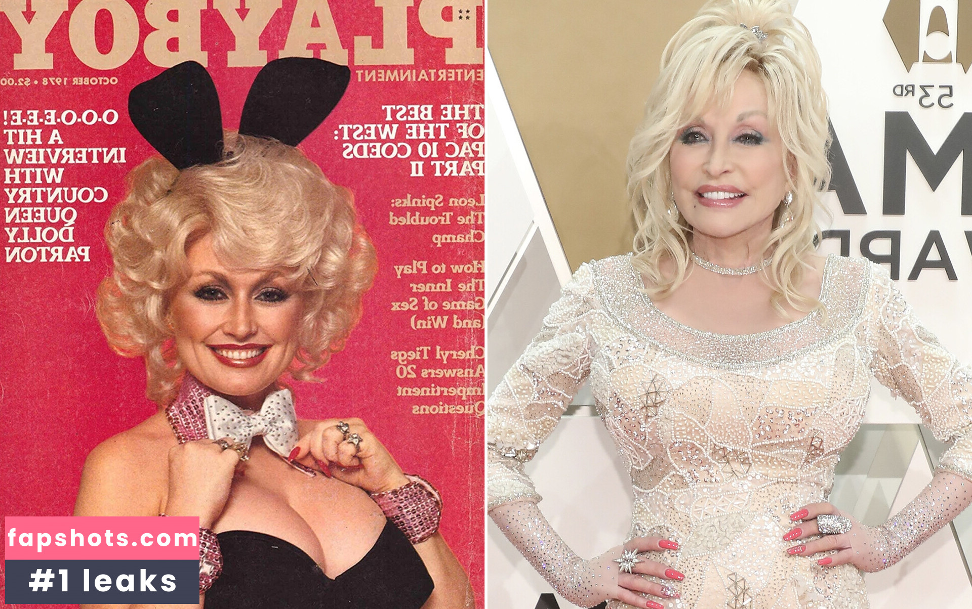 Dolly Parton Nude Leaks OnlyFans Photos #23 - LeakJerk
