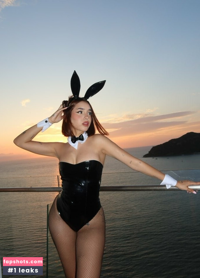 Domelipa gallery photo #16