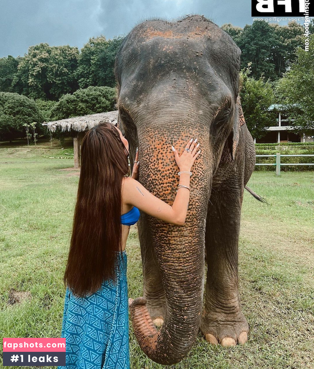 Domelipa gallery photo #29