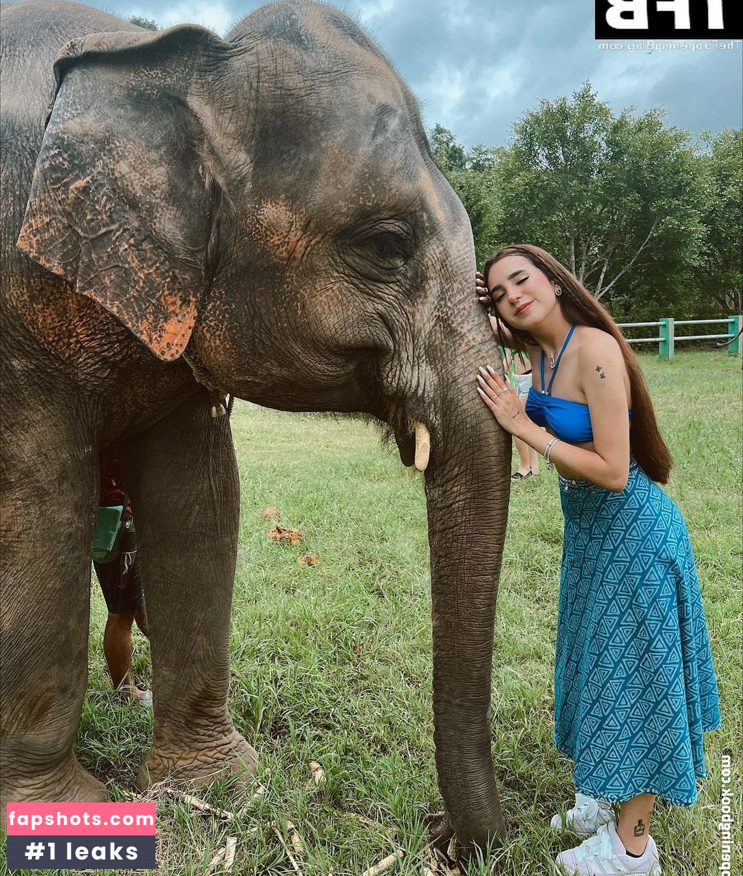 Domelipa gallery photo #30