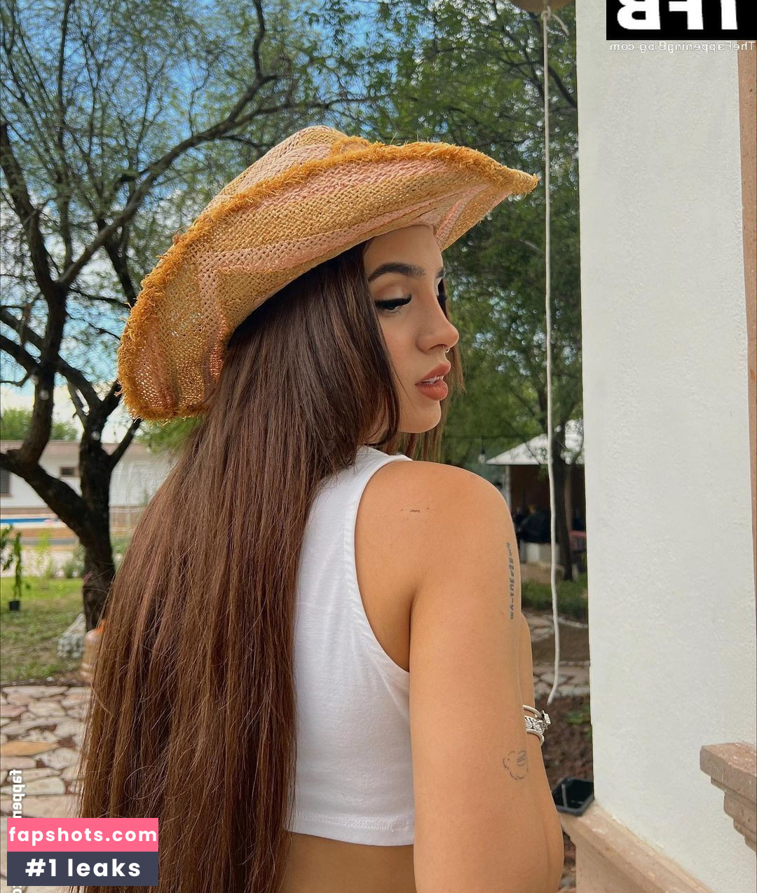 Domelipa gallery photo #36