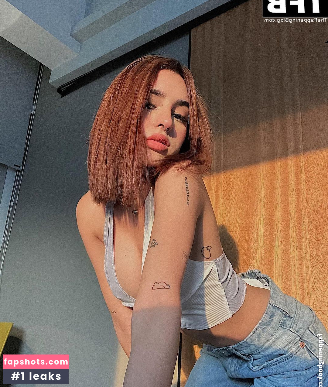 Domelipa gallery photo #41