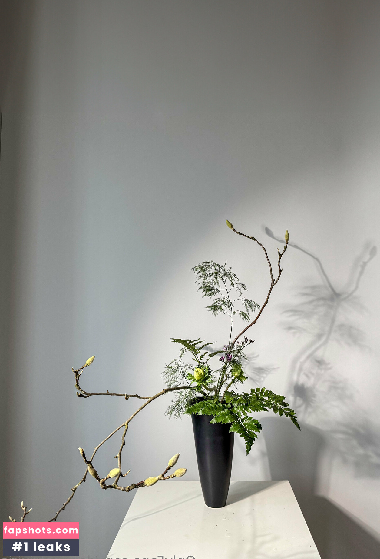 dominatrixiris gallery photo #12