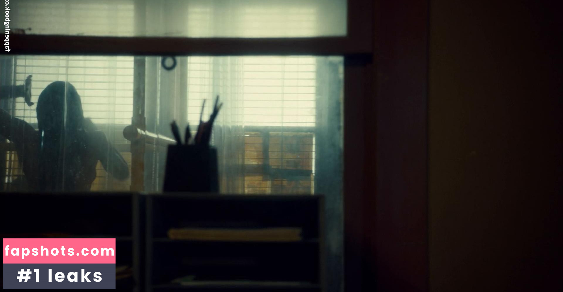 Dominique Provost-Chalkley gallery photo #17