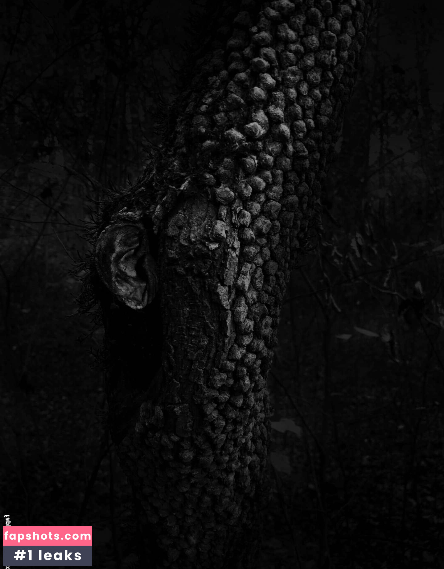 donnagarcia Nude Leaks OnlyFans Photos #3 - LeakJerk