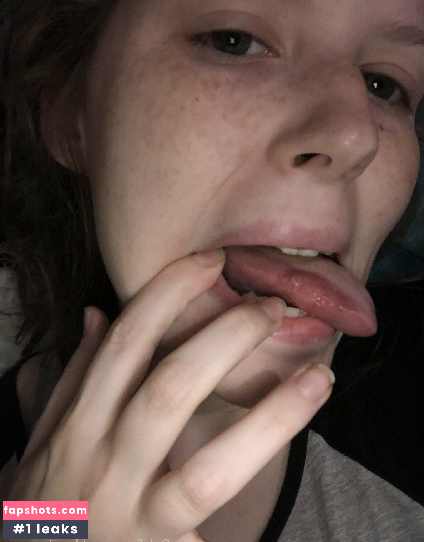 donutosaurus gallery photo #19