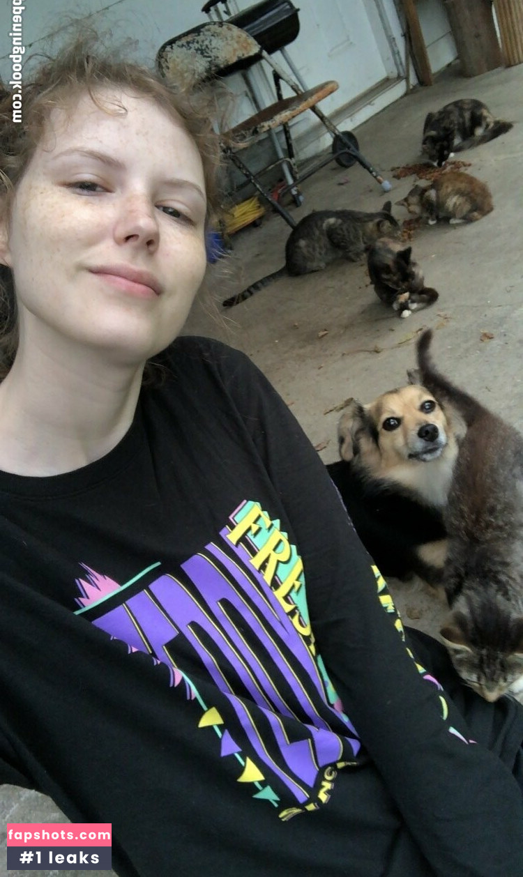 donutosaurus gallery photo #3