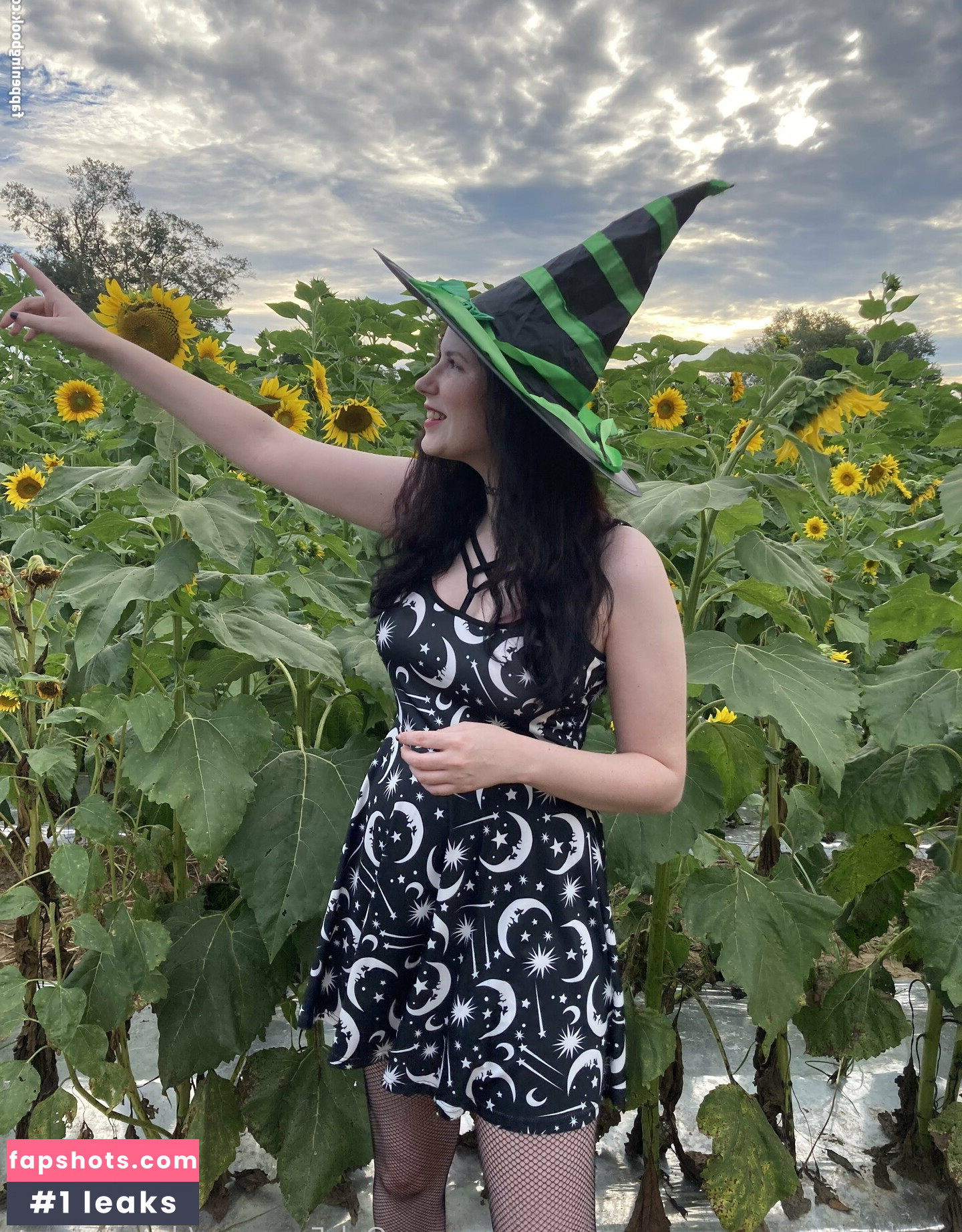 donutosaurus gallery photo #8