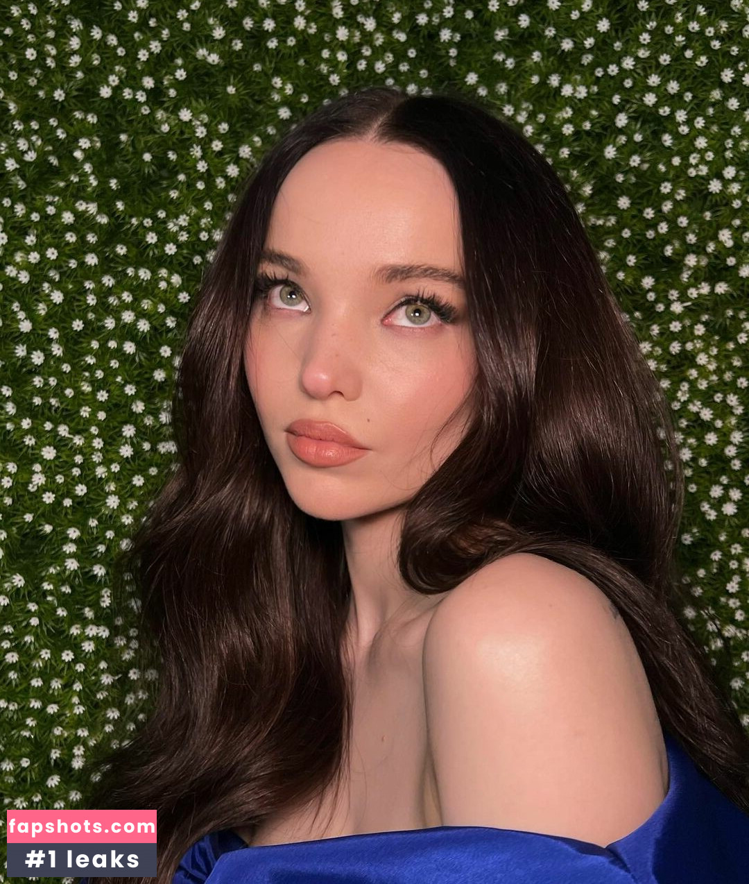 Dove Cameron gallery photo #412