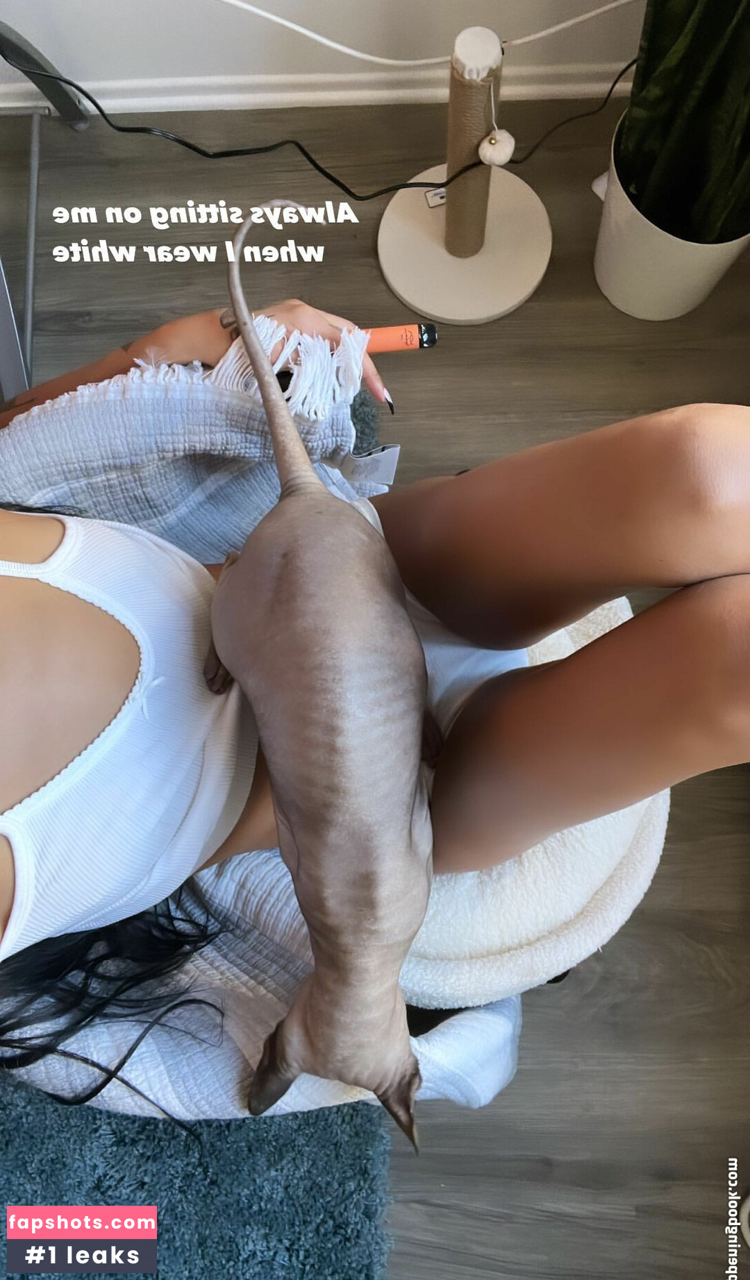 dreambabydrea gallery photo #21