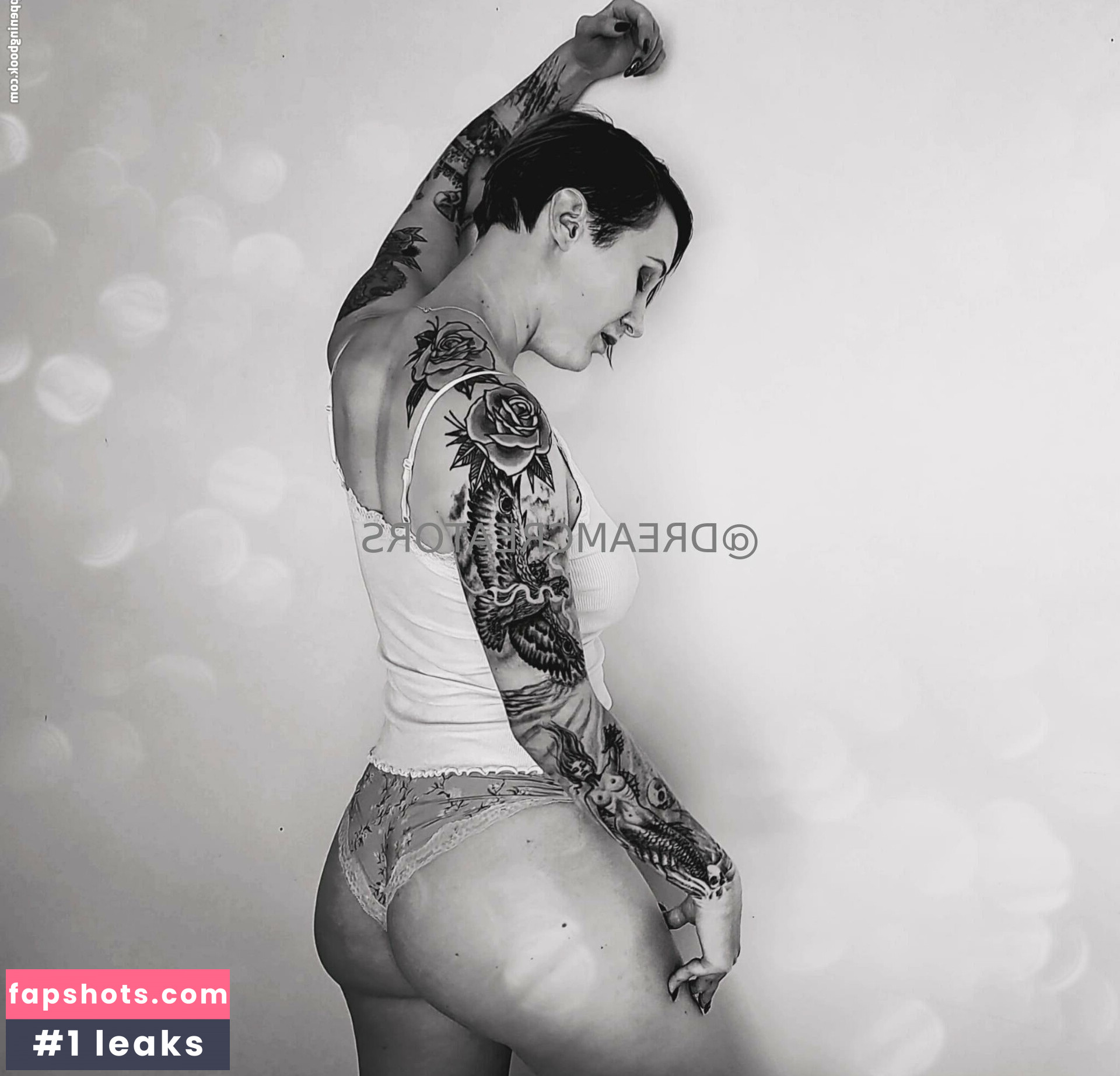 dreamcreators gallery photo #32