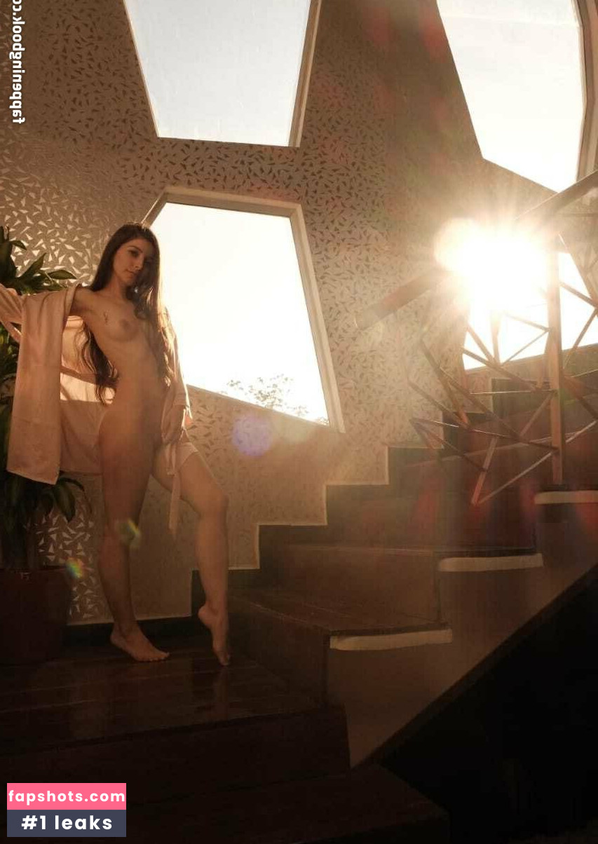 dreamnc gallery photo #7