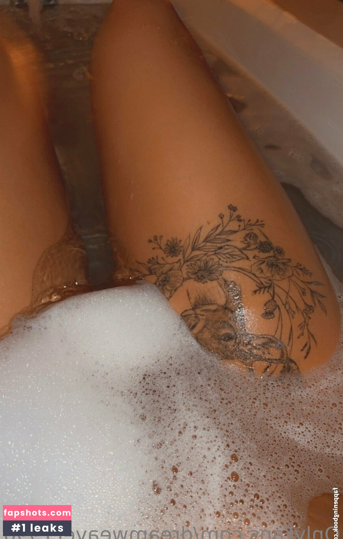 dreamweaver1996 gallery photo #59