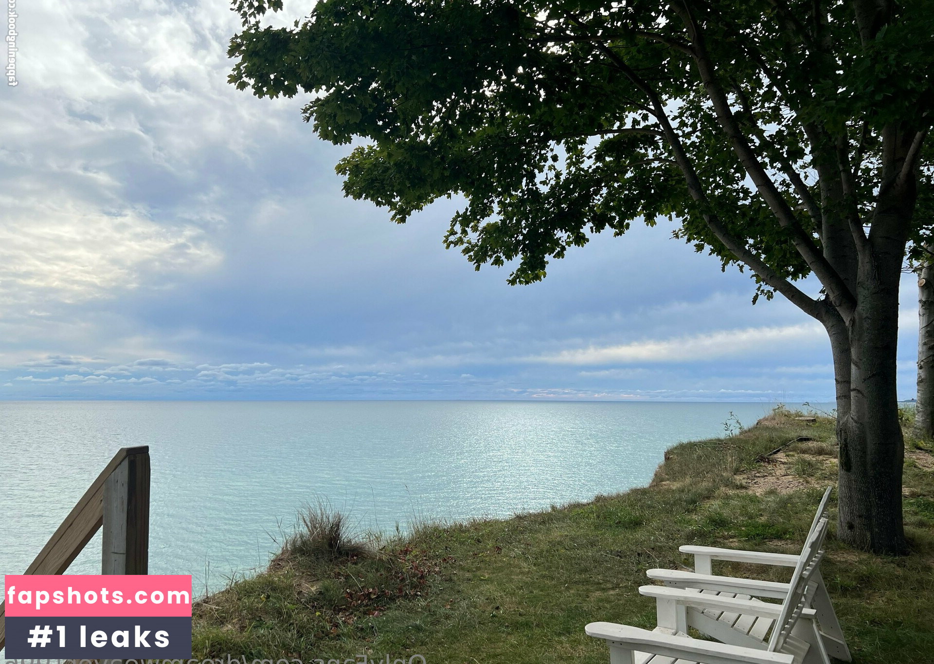 dreamweaver1996 gallery photo #63