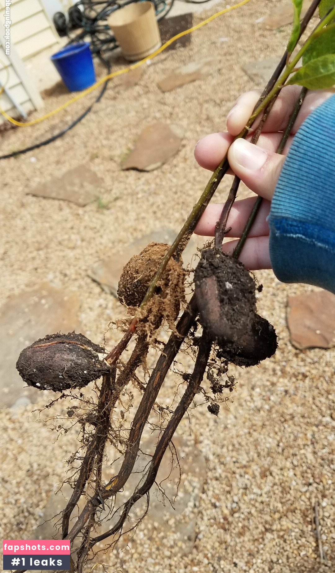 driftinggem nude babe gallery