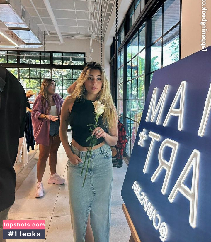 druflecha gallery photo #12