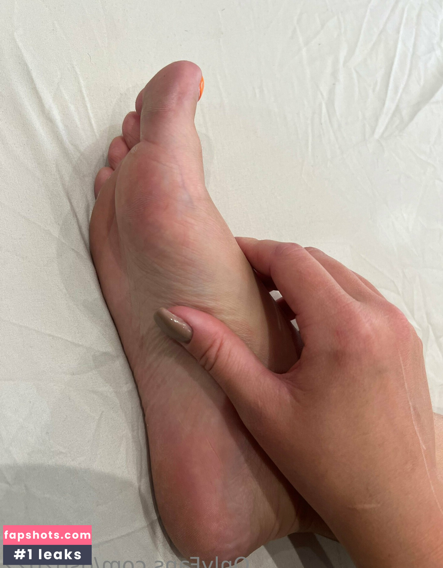 dsb2022 gallery photo #8