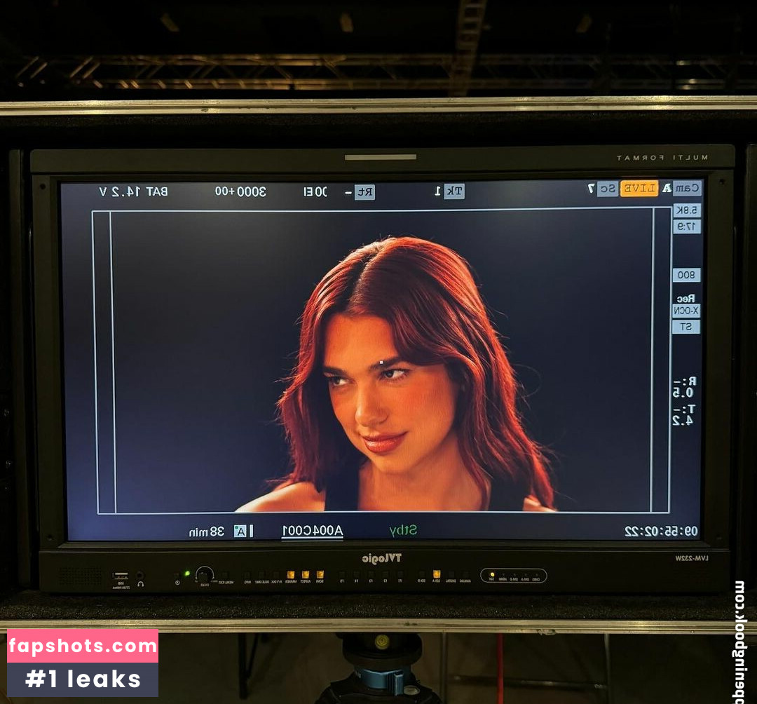 Dua Lipa gallery photo #1052