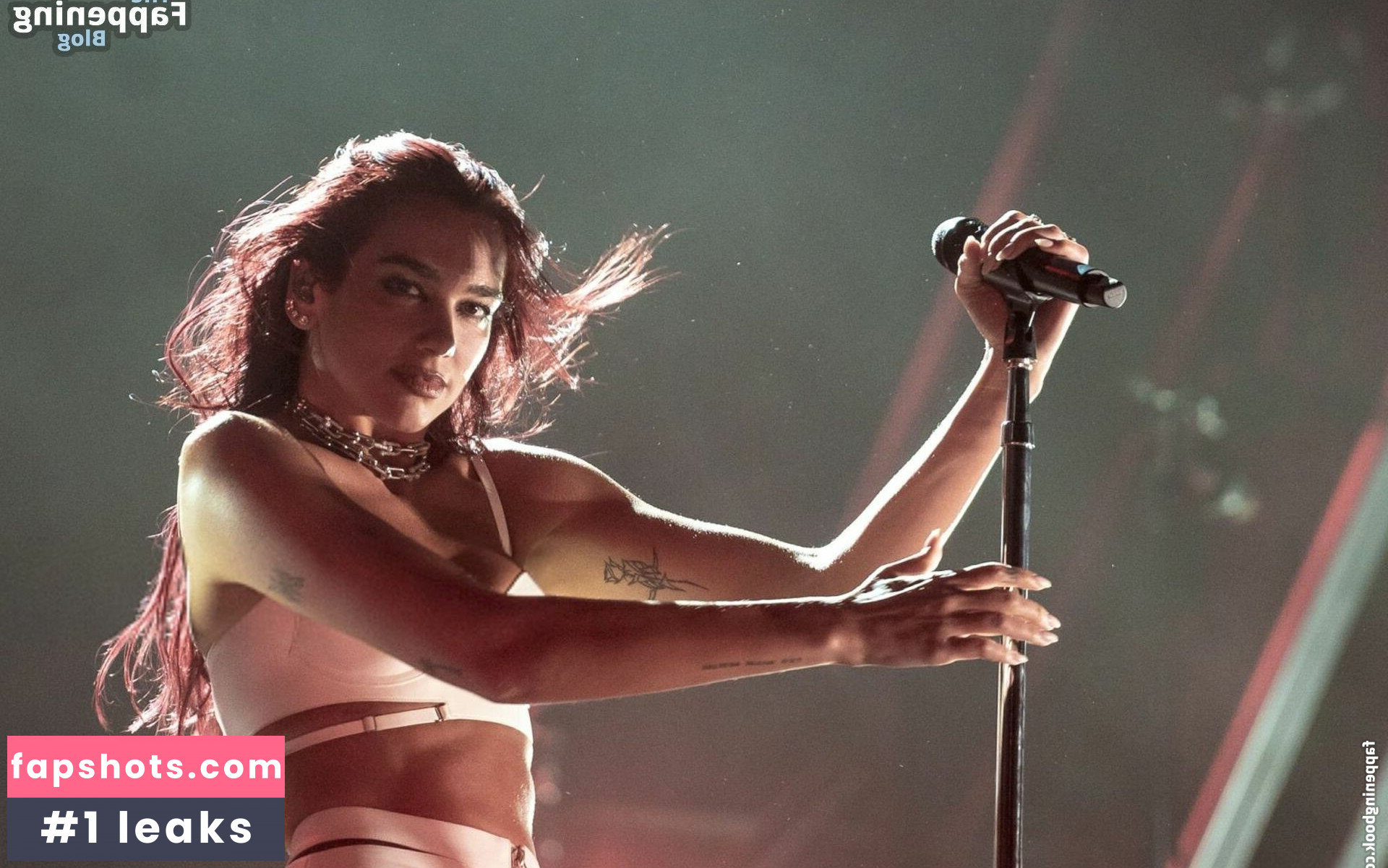 Dua Lipa gallery photo #1108