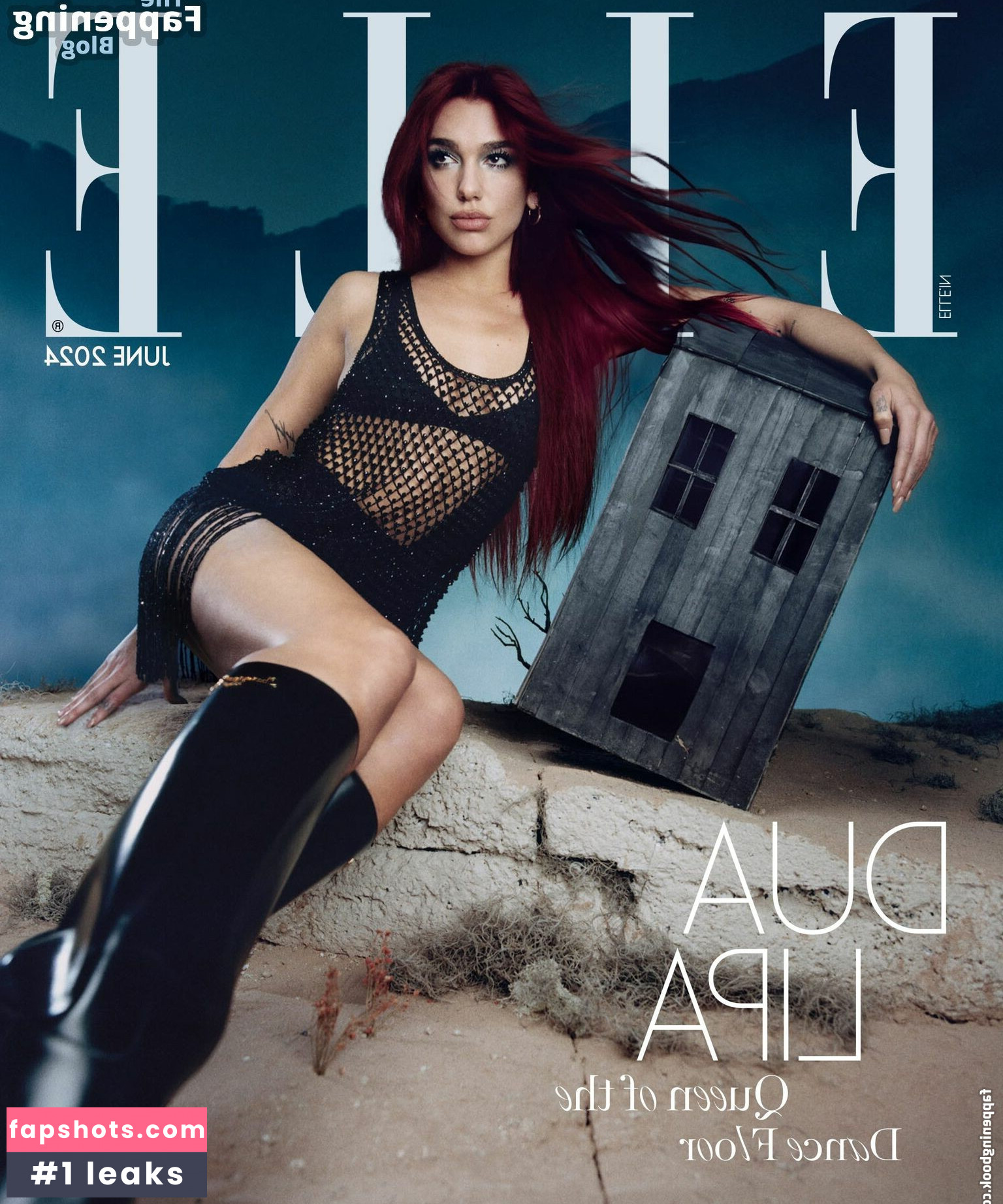 Dua Lipa gallery photo #1227