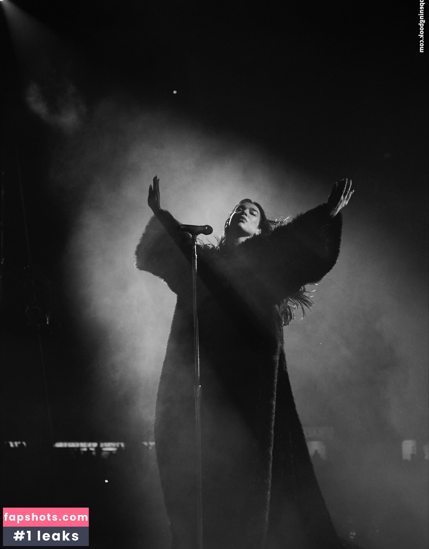 Dua Lipa gallery photo #137