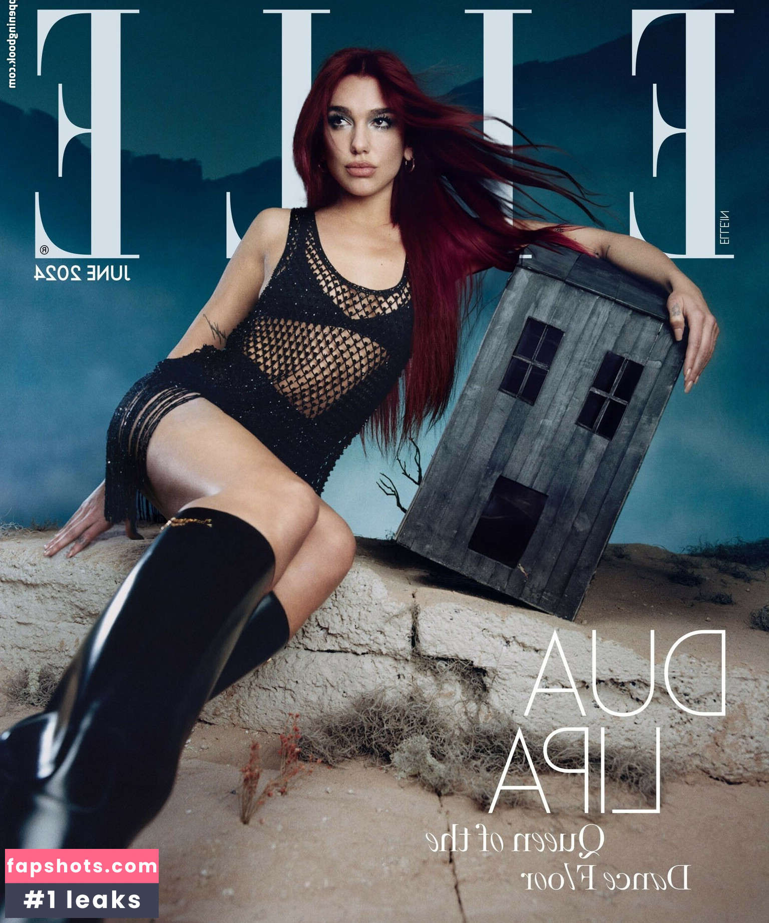 Dua Lipa gallery photo #1399