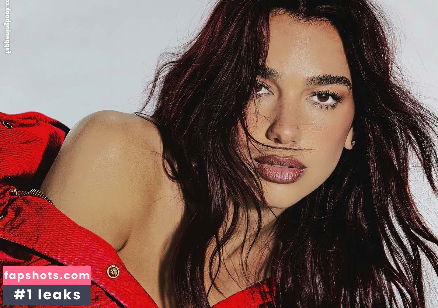 Dua Lipa gallery photo #1498