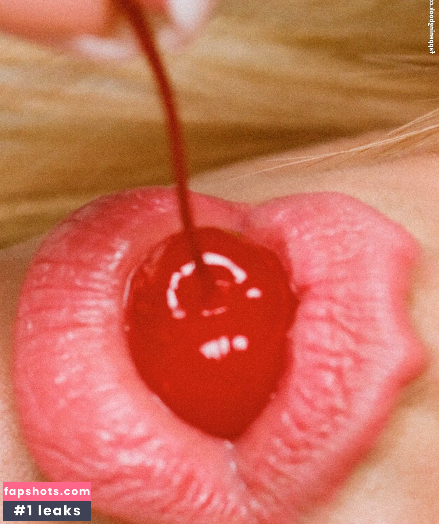 Dua Lipa gallery photo #1534