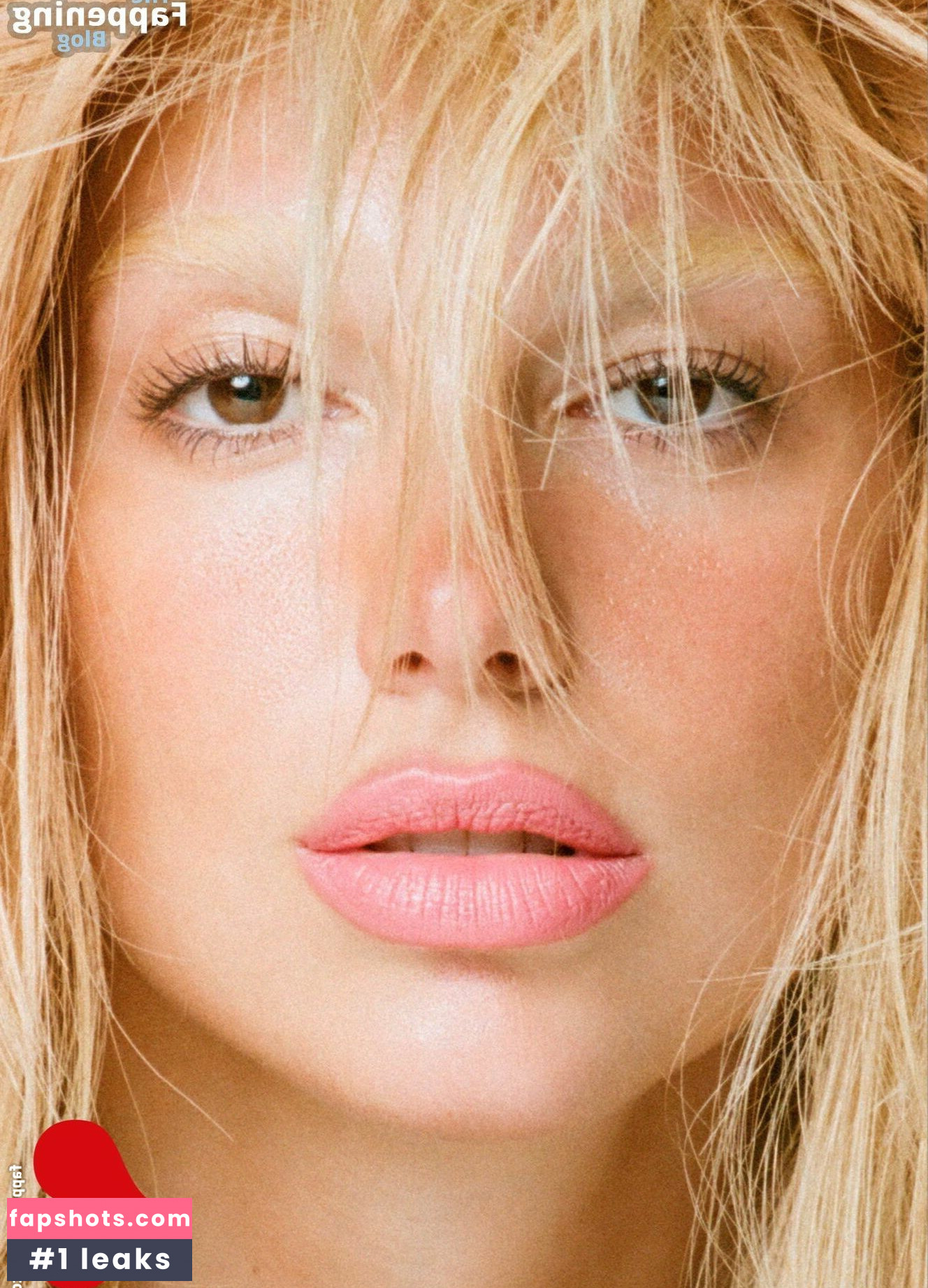 Dua Lipa gallery photo #1577