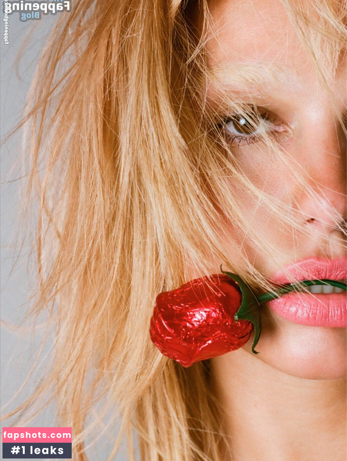 Dua Lipa gallery photo #1597