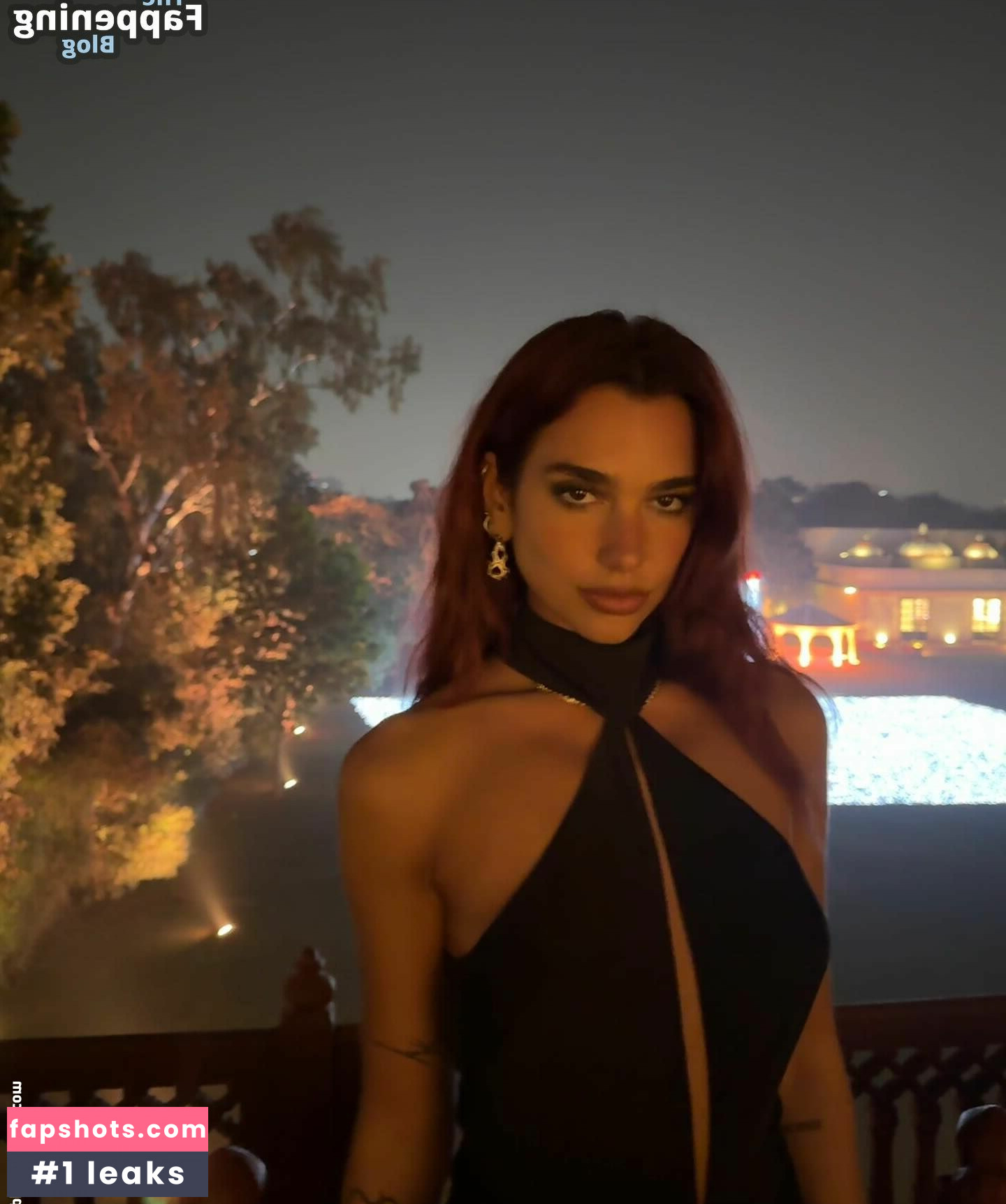 Dua Lipa gallery photo #2103