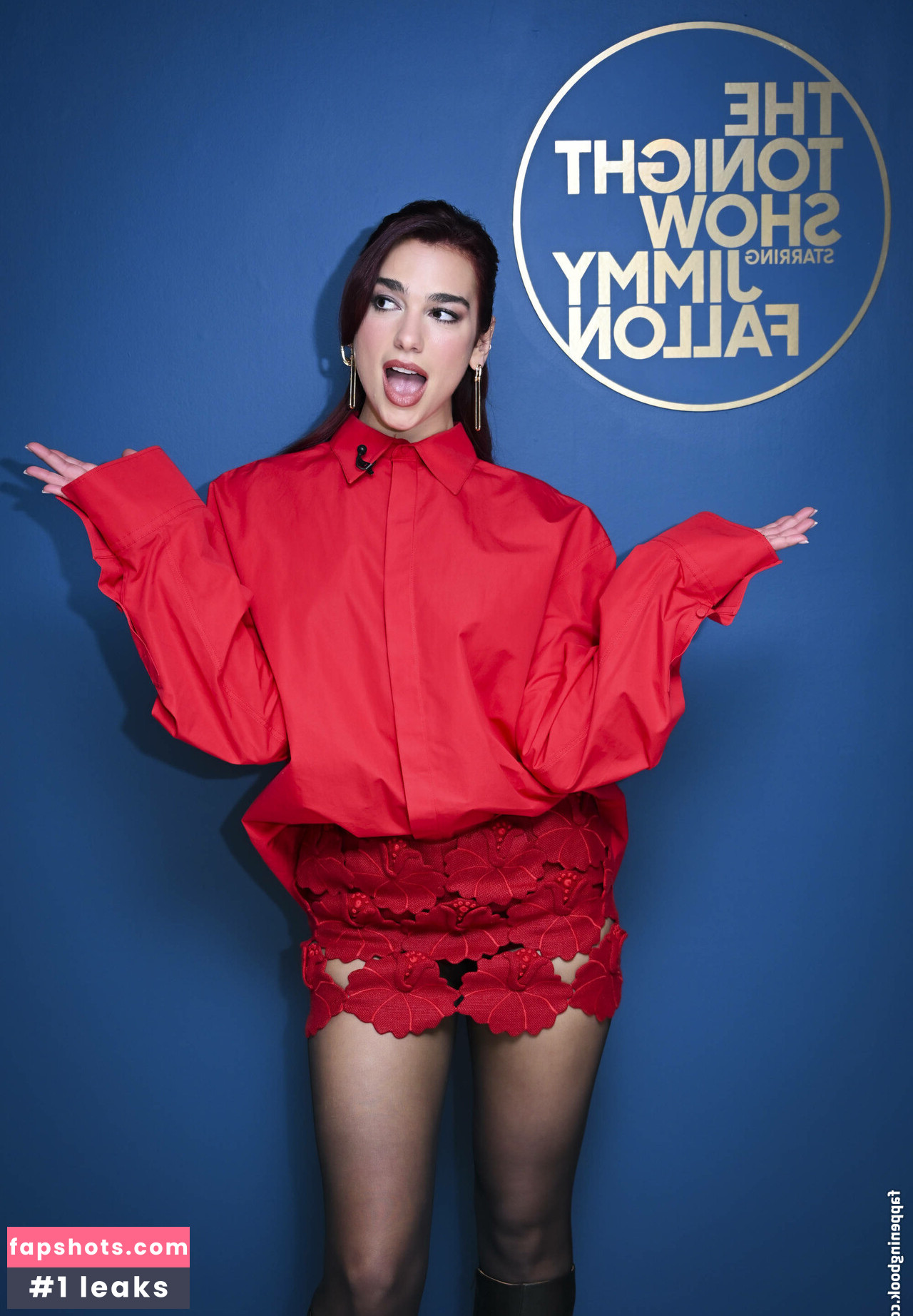 Dua Lipa gallery photo #2209