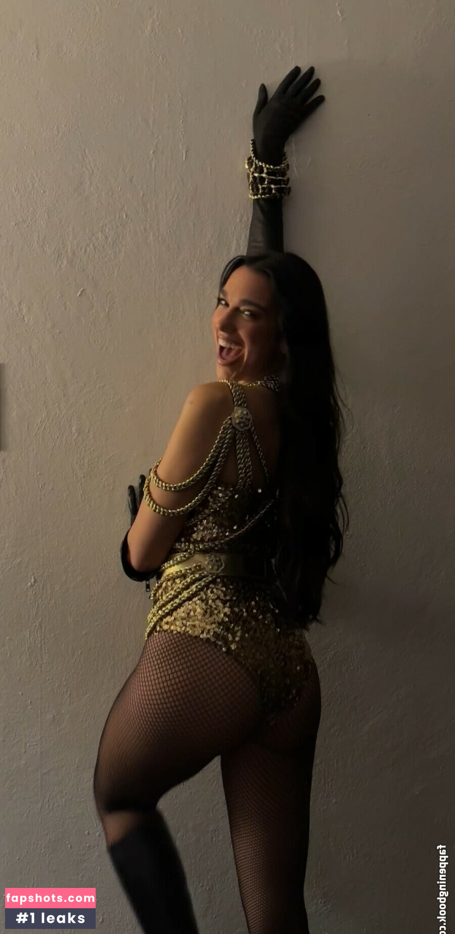 Dua Lipa Nude Leaks OnlyFans Photos #30 - LeakJerk