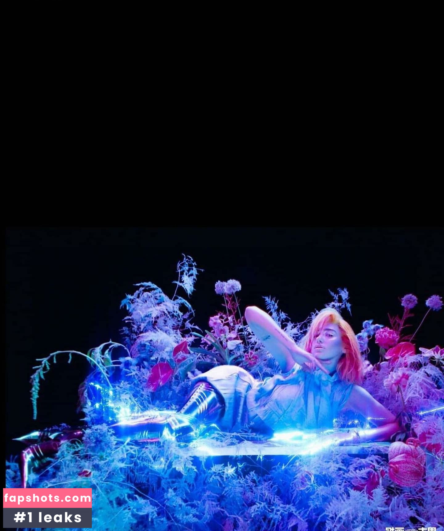 Dua Lipa gallery photo #3009